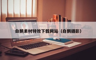 济宁白鹅素材特效下载网站（白鹅摄影）